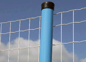 ��·���o(h��)�W(w��ng)�İl(f��)չ�΄�(sh��)�cڅ��(sh��)��B��